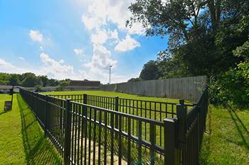 Large dog park